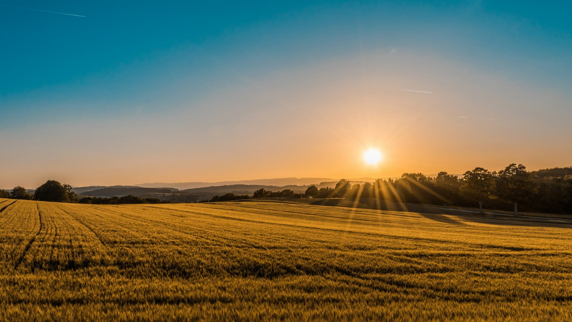 Golden hour fields on a working farm